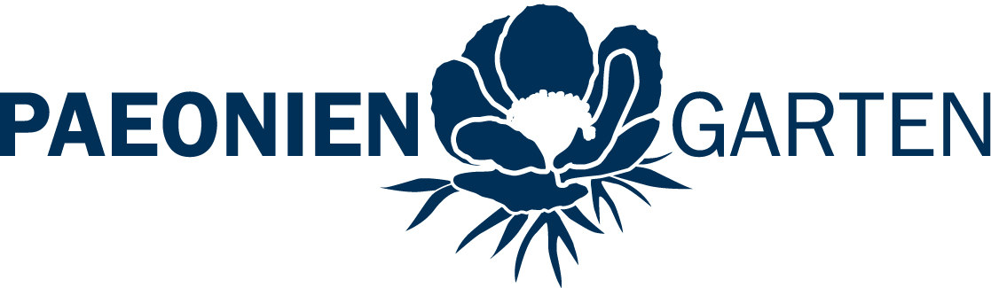 Bild mit einer Paeonie